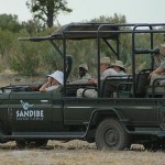 Safari jeep