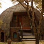 Serengeti lodge room